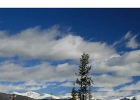 91816 Ryan Gulch Road photo 1