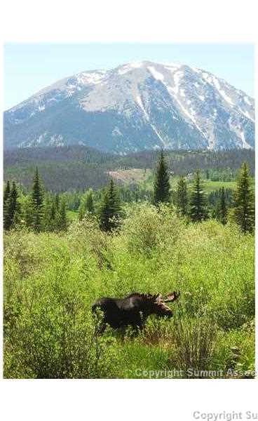 64 Hare's Ear Lane, Silverthorne, CO — main photo