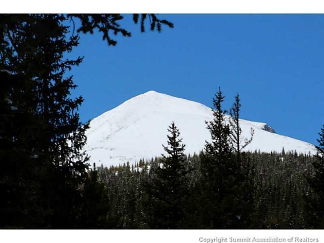 Land in Valley Of The Blue Sub, Breckenridge, CO — photo 1 (MLS S394375)