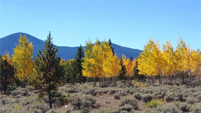 Land in Metes And Bounds - Wldsv, Silverthorne, CO — photo 1 (MLS S394431)