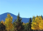 12200 Ute Pass Road photo 1