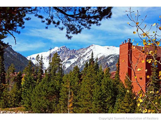 89200 Ryan Gulch Road 307bb, Wildernest, CO — main photo