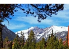 89200 Ryan Gulch Road 307bb photo 1