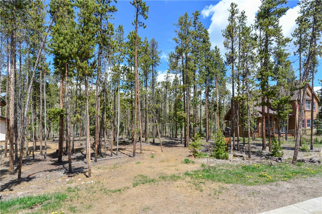 207 Lupine Lane, Frisco, CO — main photo