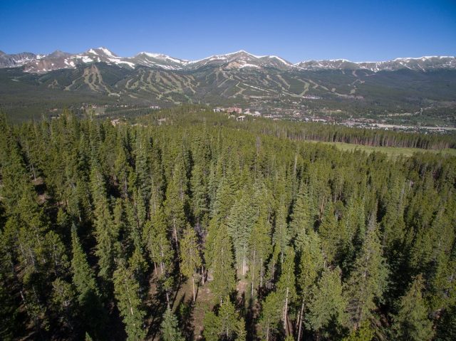 Land in Baldy Ridge Estates Pud, Breckenridge, CO — photo 1 (MLS S394803)