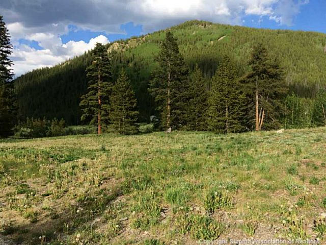 Land in Blue Rock Springs Sub, Blue River, CO — photo 1 (MLS S394888)