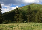 50 Rustic Terrace photo 1