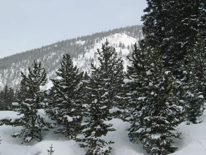 Quandary Condos  Breckenridge 