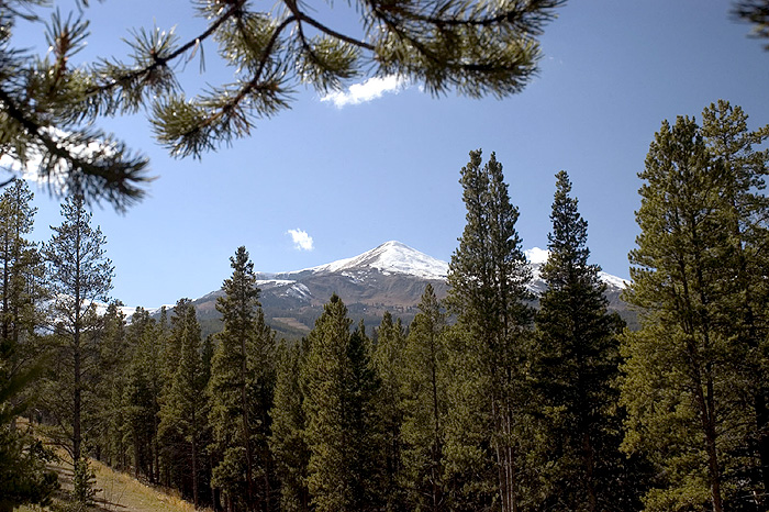 Blue Sky Condos Breckenridge Ski in Ski Out Condominium