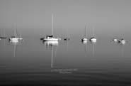 boating frisco