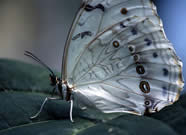 breckenridge nature photos