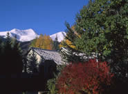 breckenridge summer photos