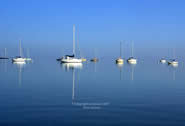 frisco marina lake