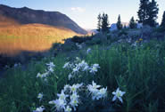 mountain lake colorado