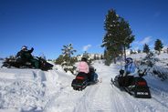 snowmobiling in breckenridge 