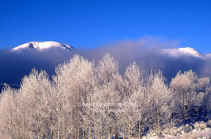 summit county nature