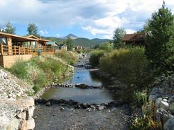 tiger run real estate