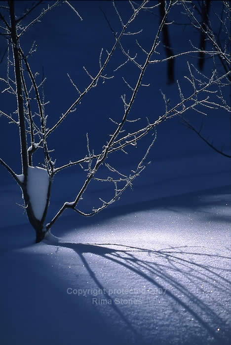 winter breckenridge nature